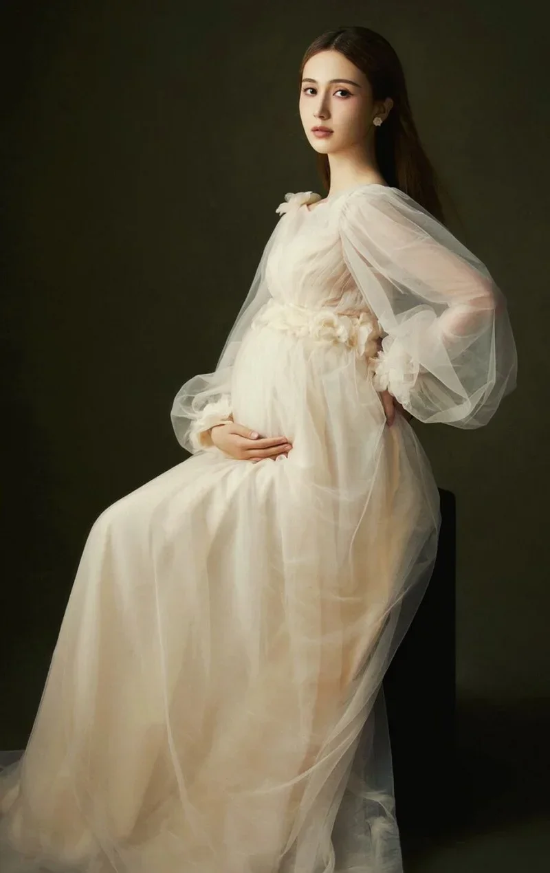 Women\'s Champagne Maternity Photo Shoot Long Sleeves Tulle Floral Pregnant Photography Props Long Mesh Maxi Dress