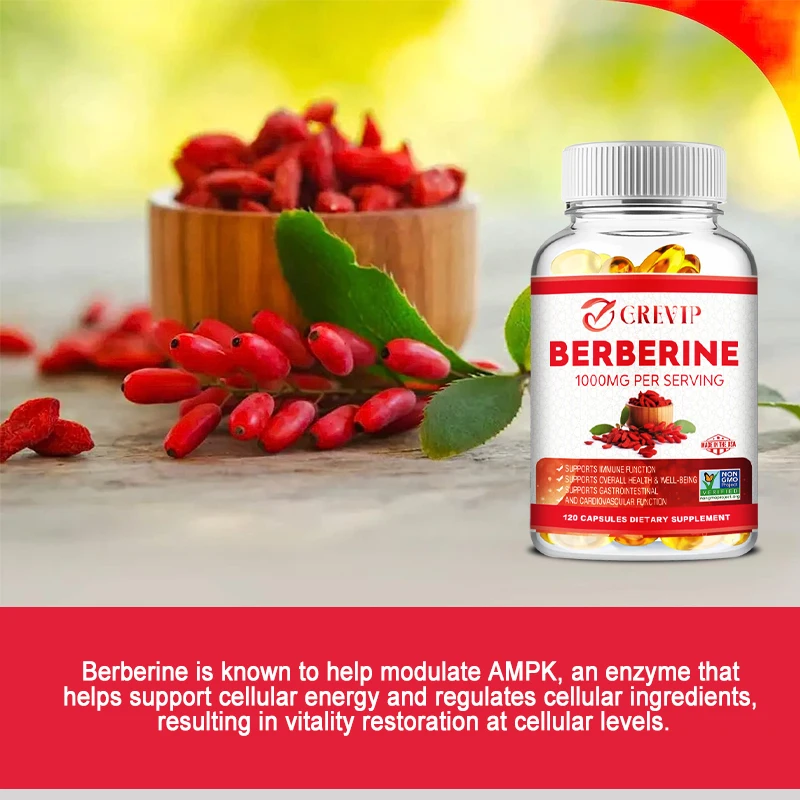 Berberine Extract Capsules - Supports Heart Health, Immune System, Healthy Gastrointestinal Tract