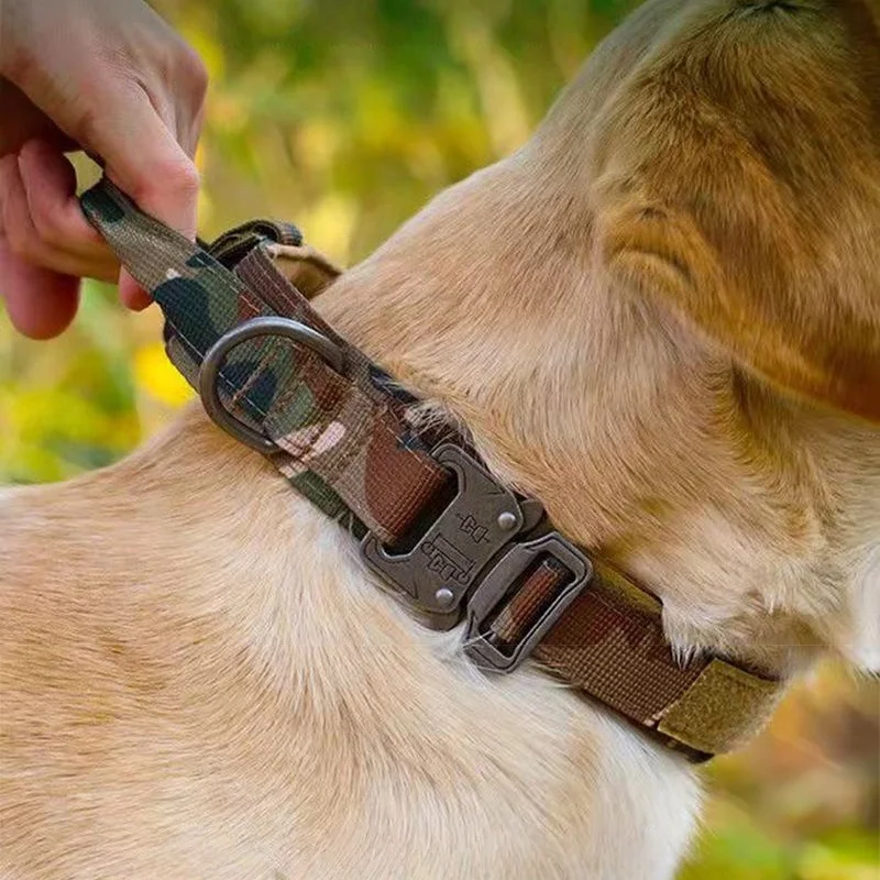 Thumbnail 2 - #6 Top 20 Dog Collars Worth Buying In 2026