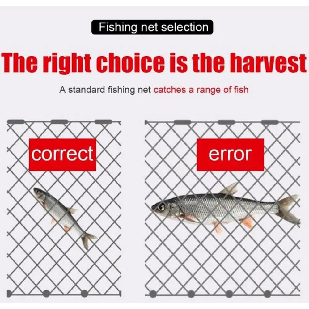 Netz-Fischfalle, tragbare, faltbare Fischernetze, effiziente, multifunktionale Süß- und Salzwasser-Zubehörteile für Anfänger und Erwachsene – Detail 11