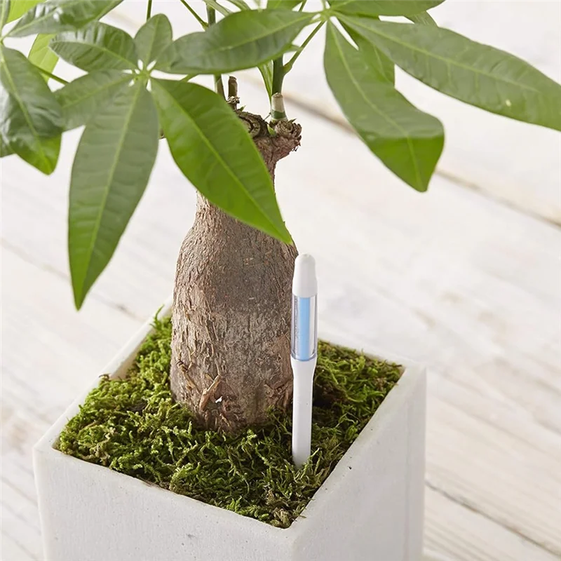 ABKO-Cuidado de plantas internas: 5 sensores de umidade do solo aquamétrico para plantas em vasos, médio