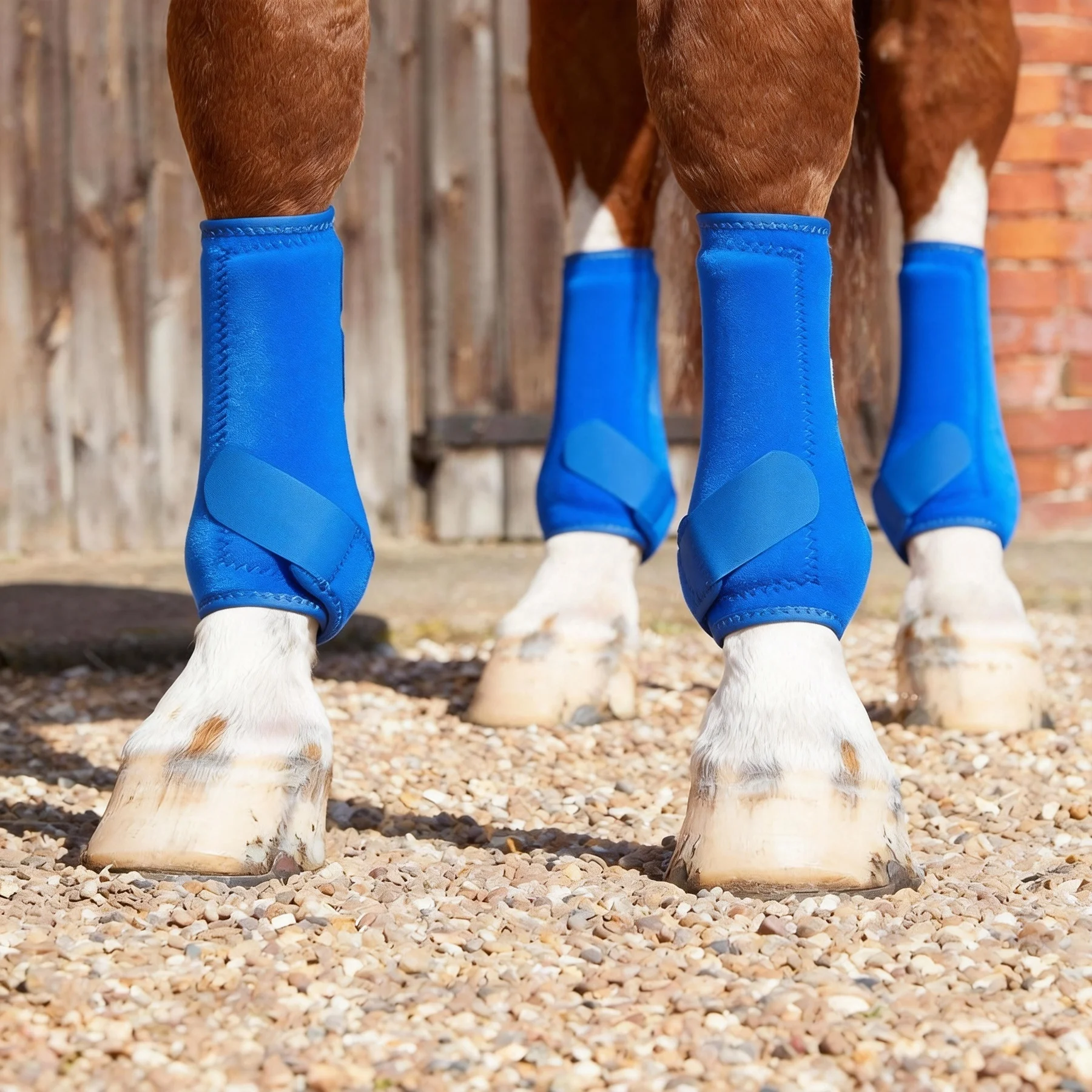 Freedom of Movement Neoprene Equestrian Horse Leg Protector Boots Non-Restrictive Guards Polo Wraps