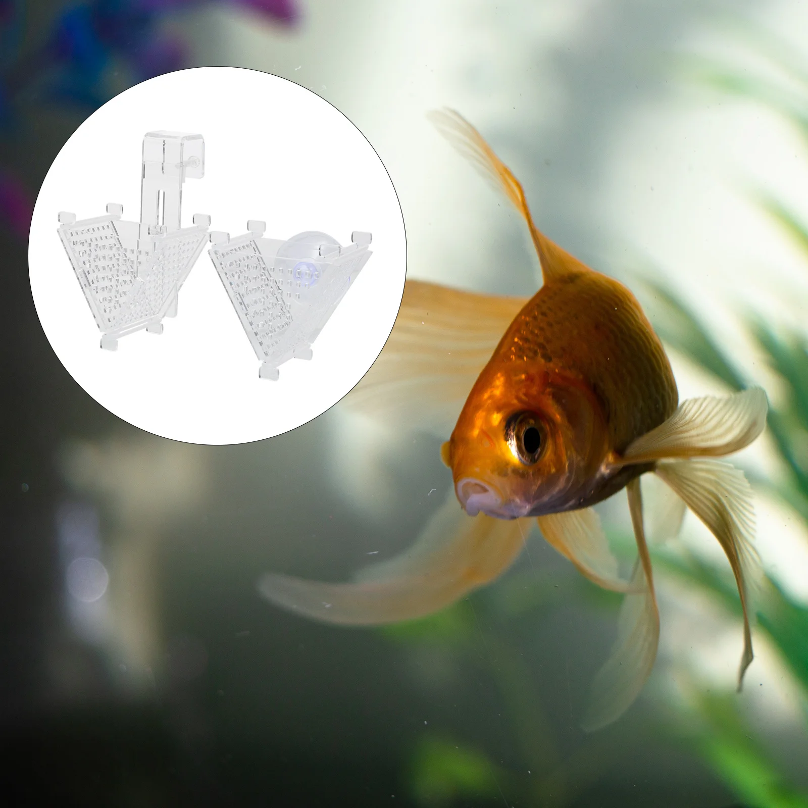 

2Pcs Durable Acrylic Fish Feeding Cup Inverted for Aquariums Practical Feeding Supplies Acrylic Fish Feeder