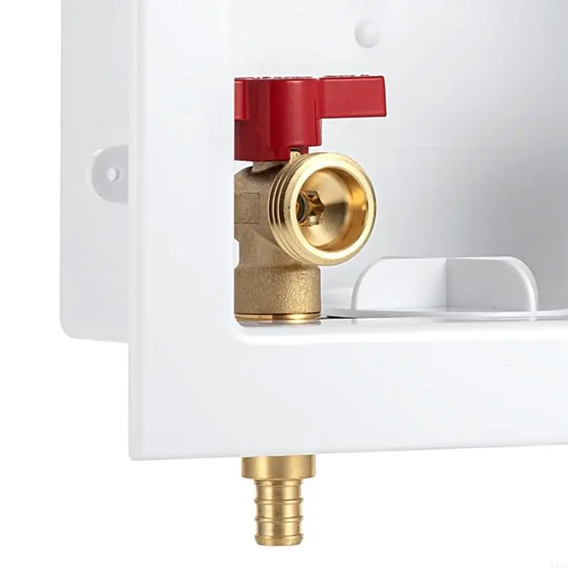 Q81C MONTAGEM SIMPLE