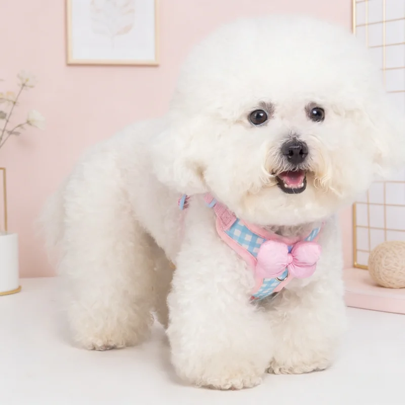 Arnés ajustable para perro y gato con correa y lazo dulce - imagen 4