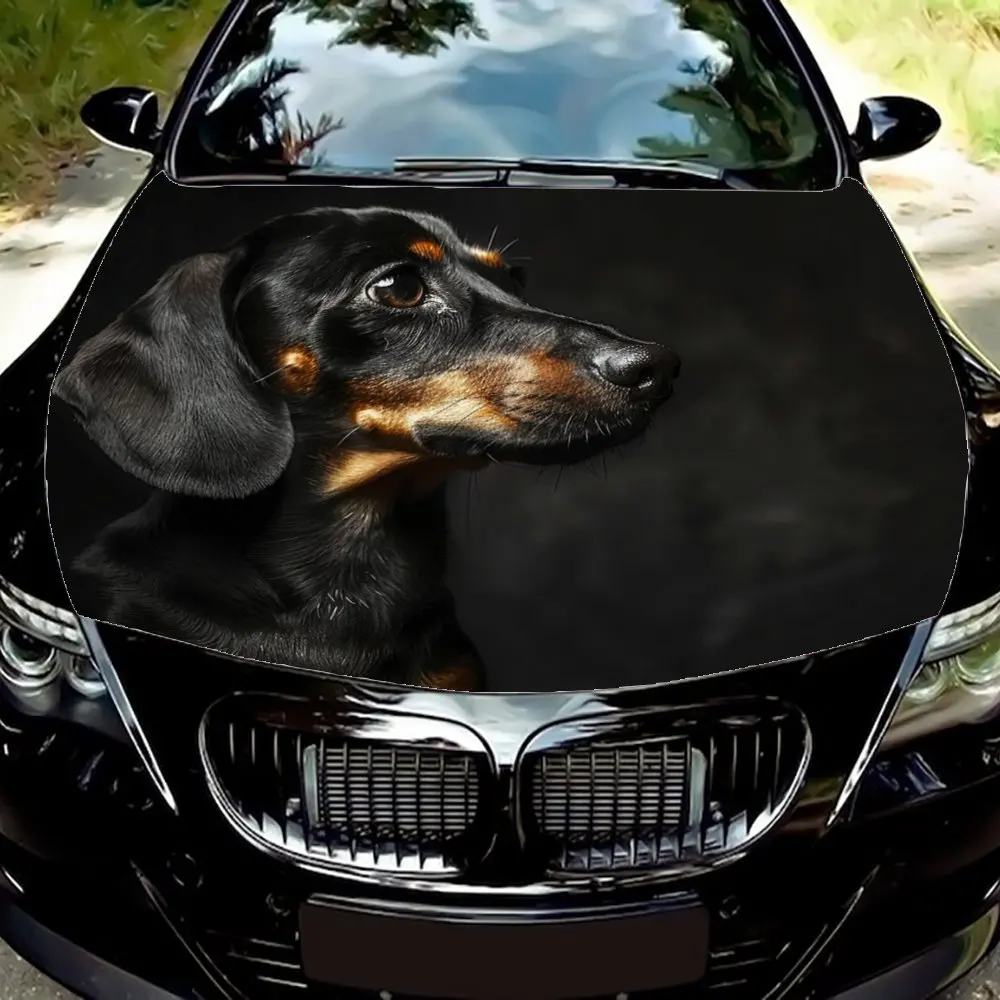 Dachshund Car Graphics Set - Customizable Options, Professional Quality