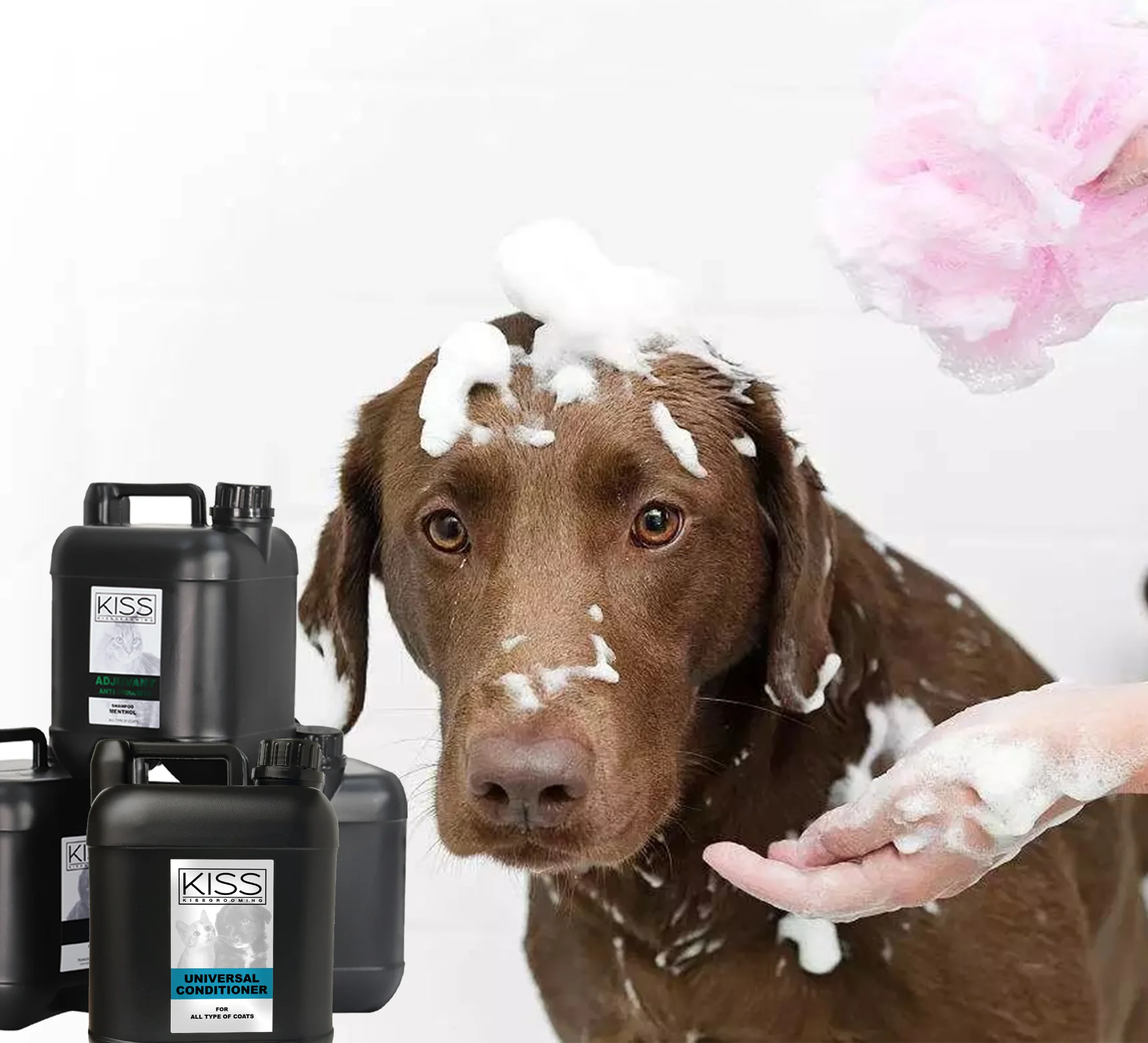 Aeolus Washing Waterless Pet Grooming Shampoo  cleaning and care 2:1 UNIVERSAL SHAMPOO + BALSAM