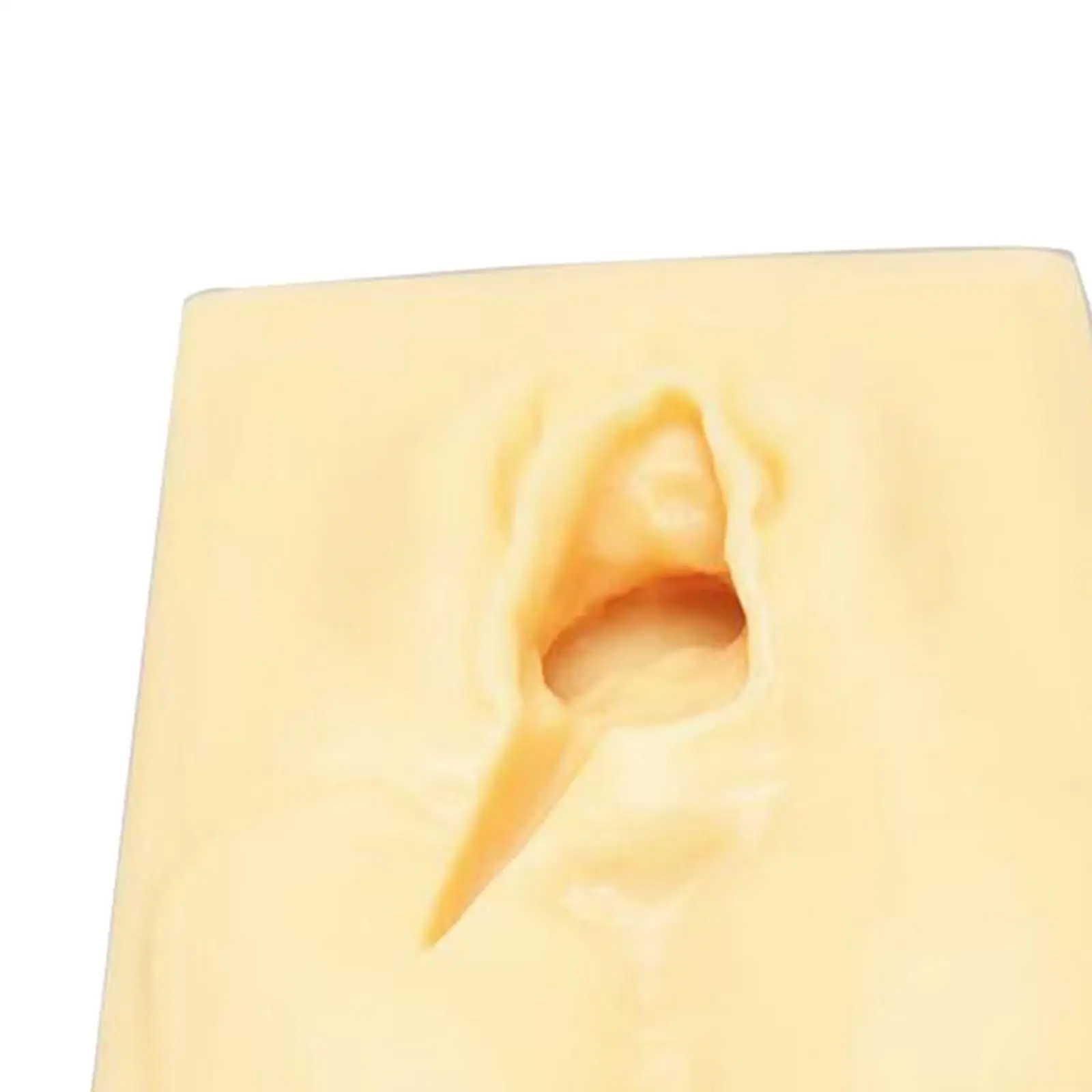 Perineal Practice Suturing Simulator Fittings Accessories Silicon Professional