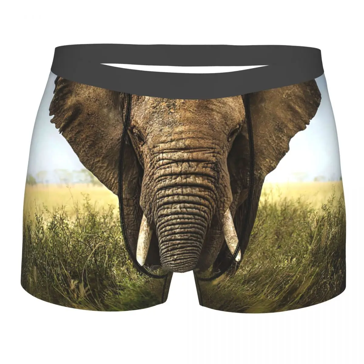 

Elephant Portrait Underpants Breathbale Panties Male Underwear Print Shorts Boxer Briefs