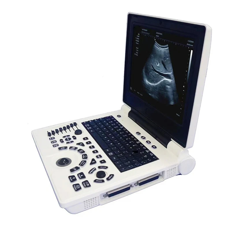 رخيصة الثمن PW عيادة بيطرية التشخيص نظام الموجات فوق الصوتية دفتر 3D Ultrasonido Vet الموجات فوق الصوتية السعر