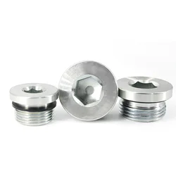 Galvanized M5 M6 M8 M10 M12 M14-M36 Metric Male Thread Hex Socket ED End Cap Rubber Sealing Ring Flange Plug Pipe Fitting