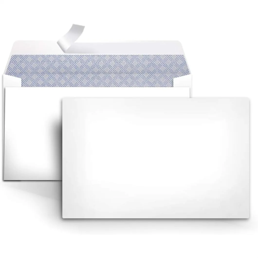 

Security Tinted Self-Seal Envelopes for Home Office, 100-Pack, 3-5/8 by 6-3/4 Inches, White