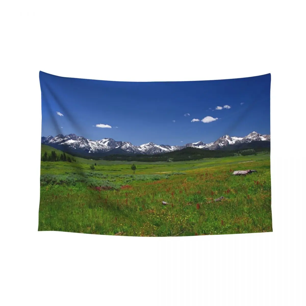 

850_1903 Tapestry Wall Decoration Items Room Decor For Girls Room Decorator Tapestry