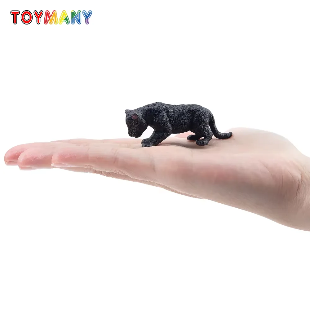 Toymany محاكاة الفهد الأسود شبل الحياة البرية نماذج للحيوانات لعبة شخصيات صغيرة دمى عمل التماثيل لعب الأطفال هدية