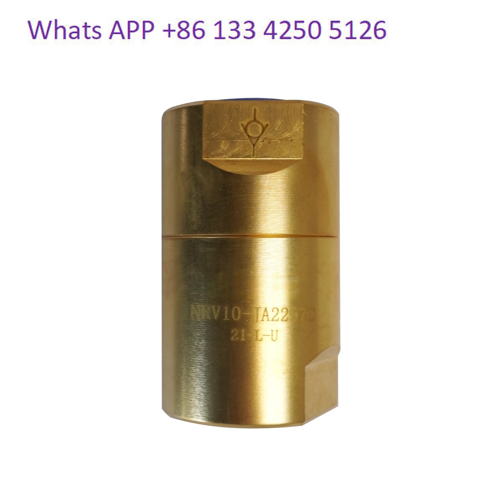 valvola-singola-valvola-di-ritegno-laser-ad-alta-pressione-nrv10-ja2297c