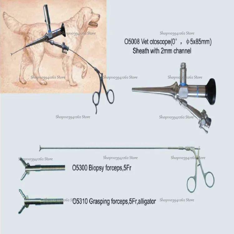 Professional Medical Rigid Veterinary Otoscope With Working Channel