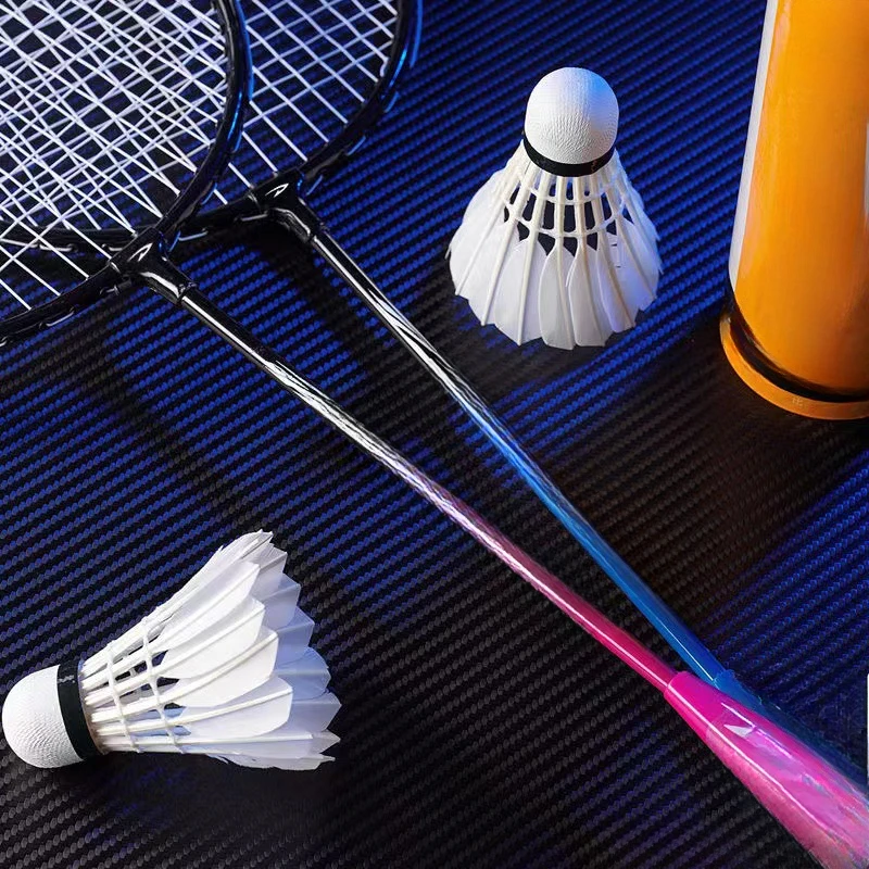 Beginners Training Ultralight Badminton Racket