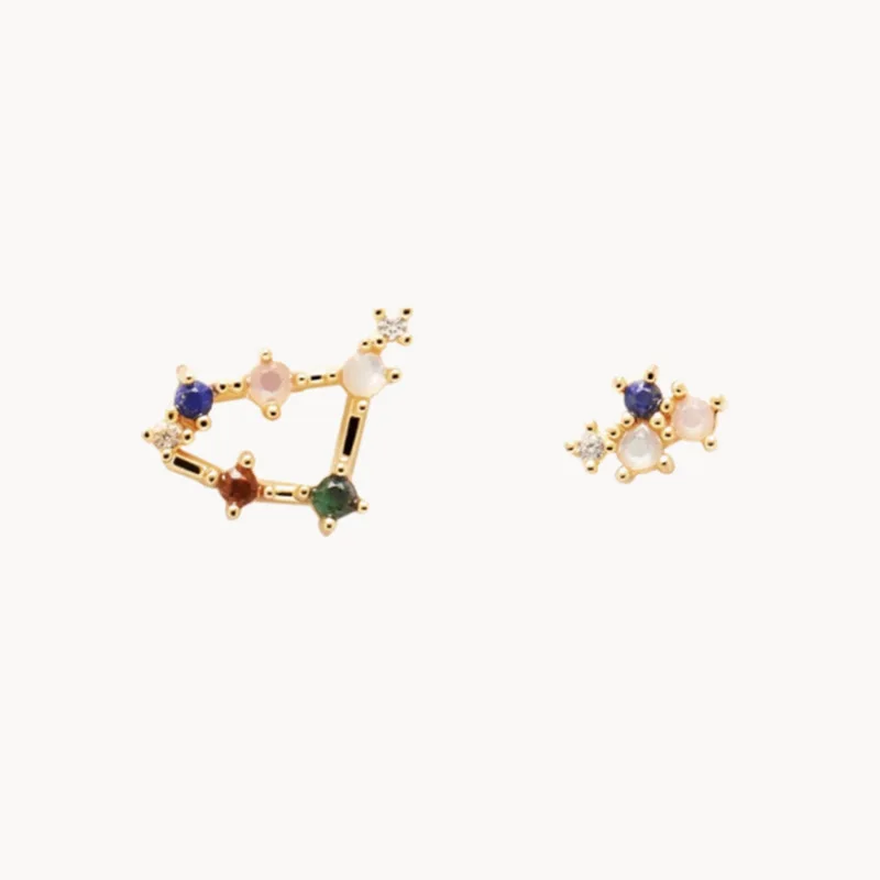 New 925 Sterling Silver Twelve Constellation Earrings Distinctive Simple Modeling Women Earrings Birthday Gift Exquisite Jewelry