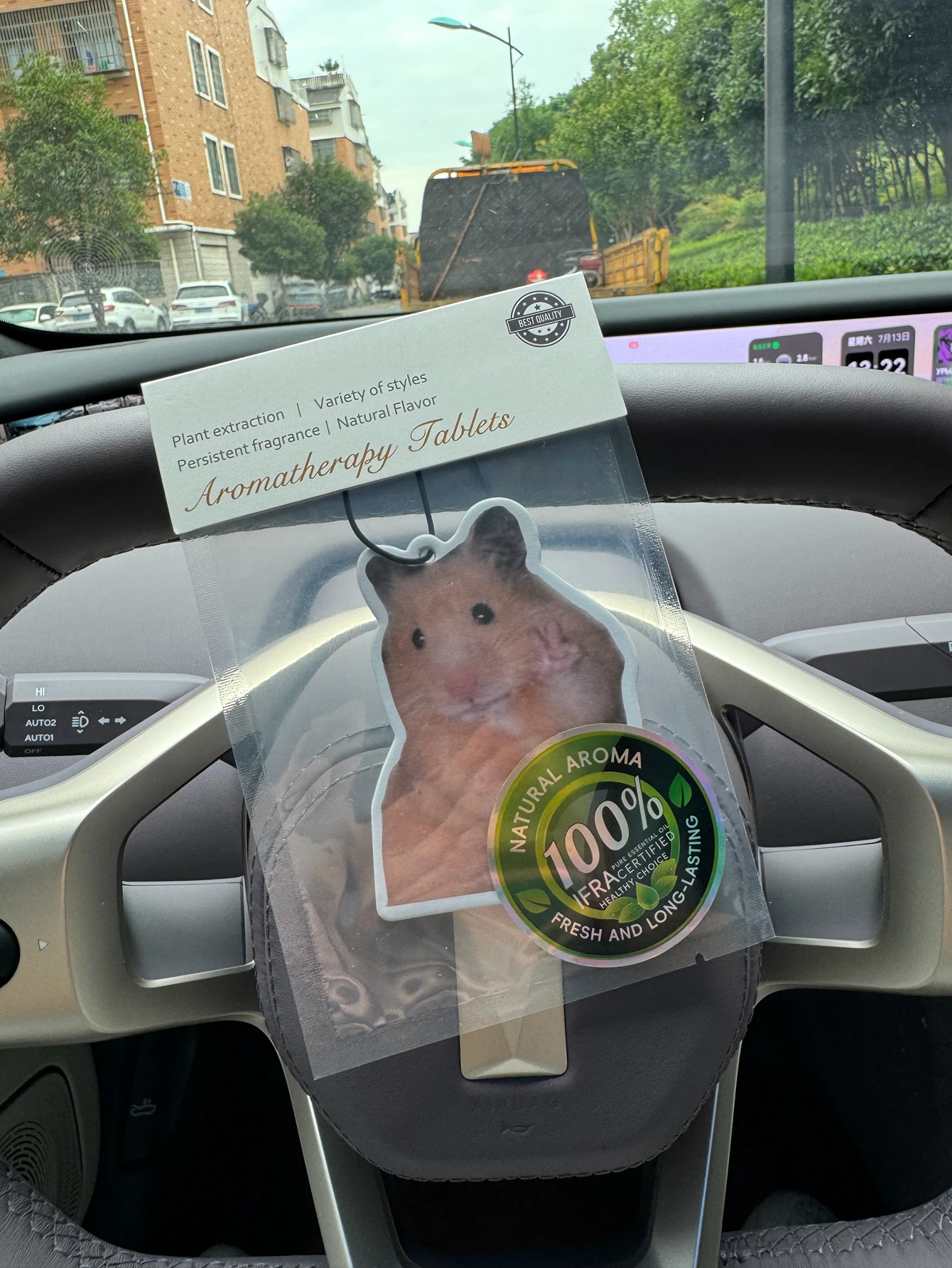 Magnet Hamster Meme Magnet Ham - Perfume Lavender Fragrance recensione e prezzo