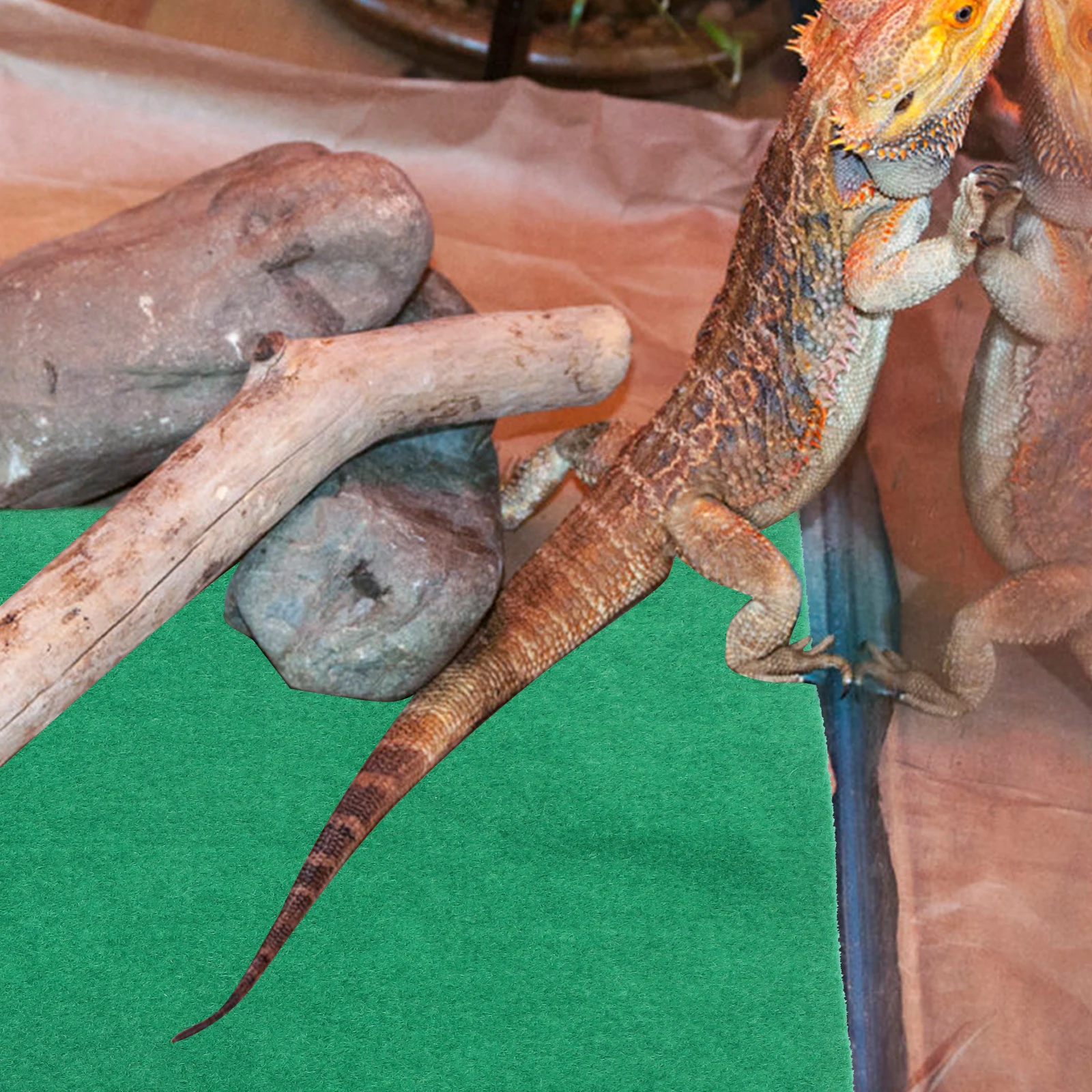 

60x40cm Pet Waterproof Anti Moisture Pad Safe Thermal Reptile Mat for Lizards Turtles Climbing and Resting Reptile Supplies