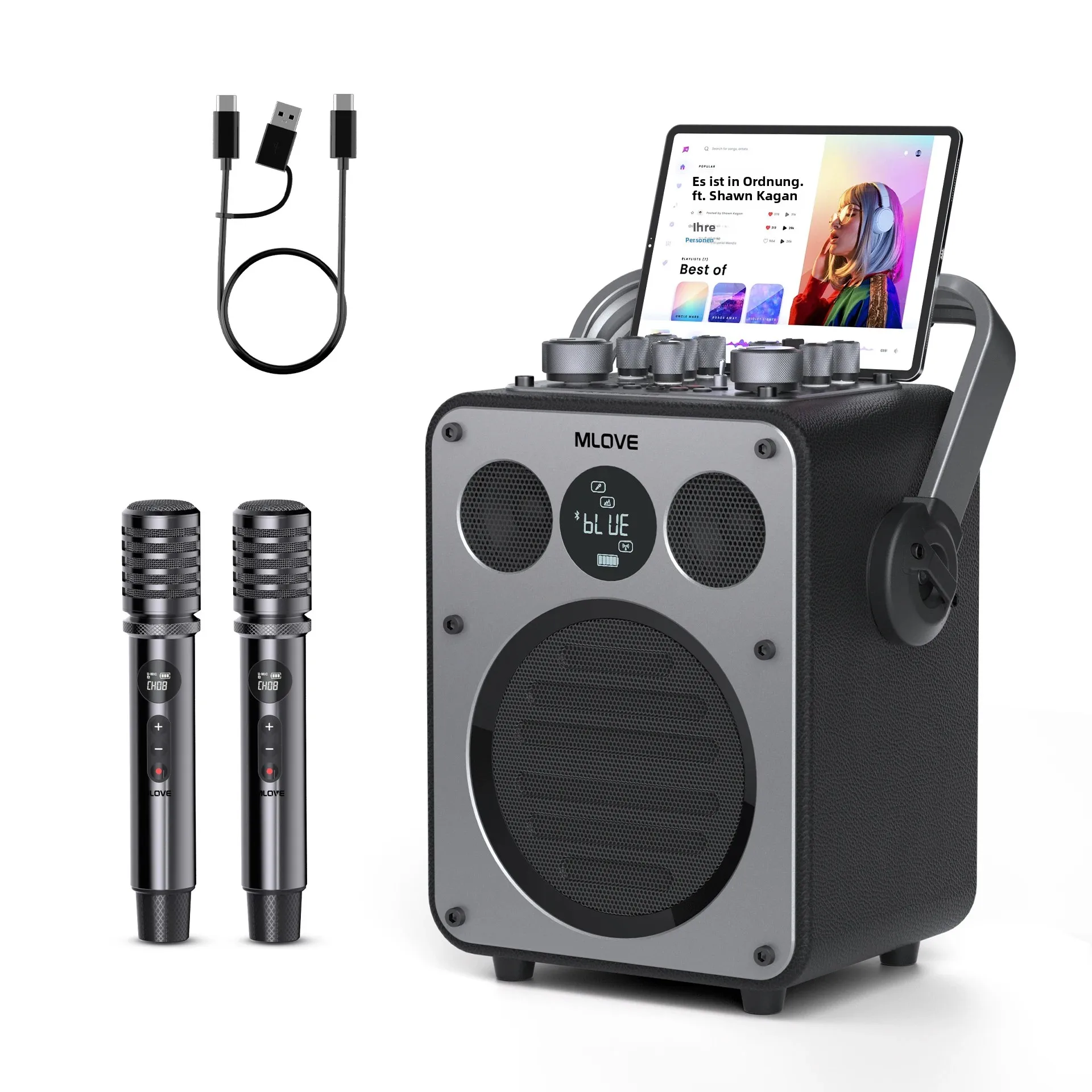MLOVE D5 Professionelle Karaoke-Maschine für Erwachsene mit Bluetooth und 2 kabellosen Mikrofonen, tragbarer PA-System-Lautsprecher, Aufnahmefunktion
