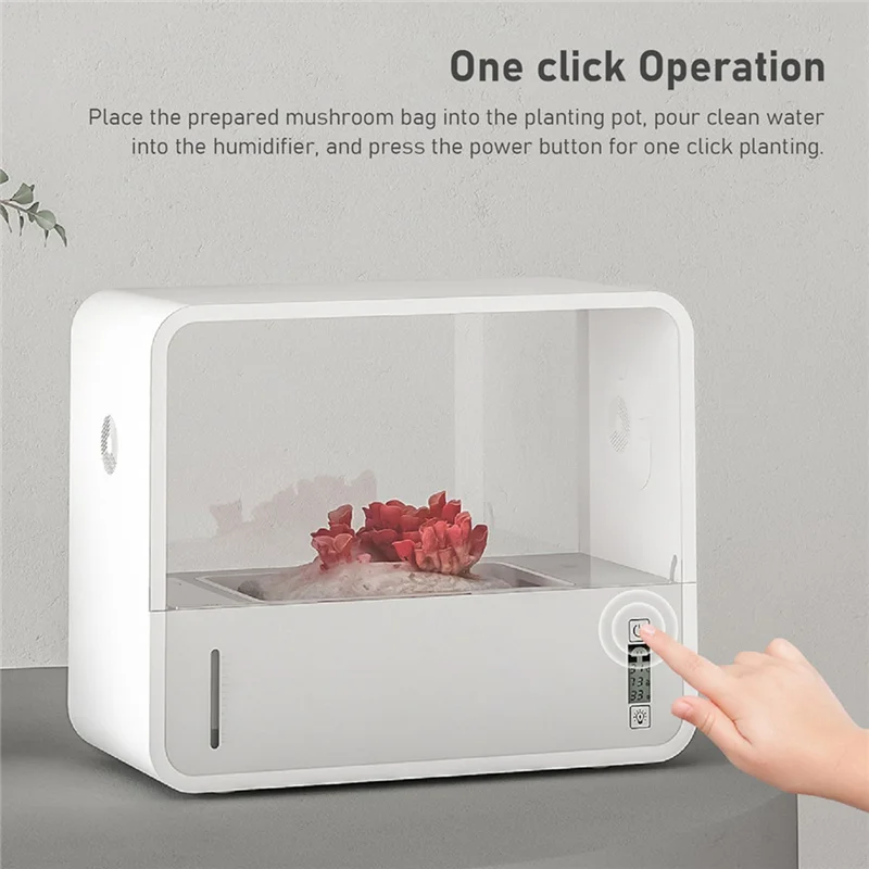 Abzs cogumelo crescente caixa inteligente sistema sem solo vista transparente iluminação led automática ainda ar cogumelo tenda