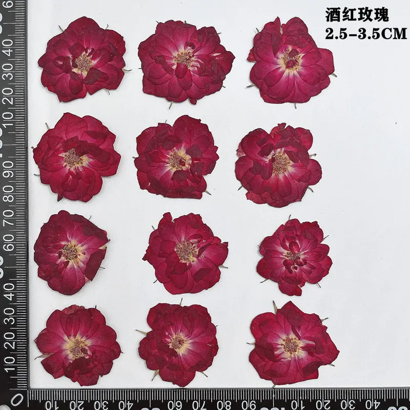 60 個プレス乾燥赤黄ピンクローズフラワー植物ハーバリウムジュエリーブックマークスクラップブック電話ケースキャンドルランプシェード DIY