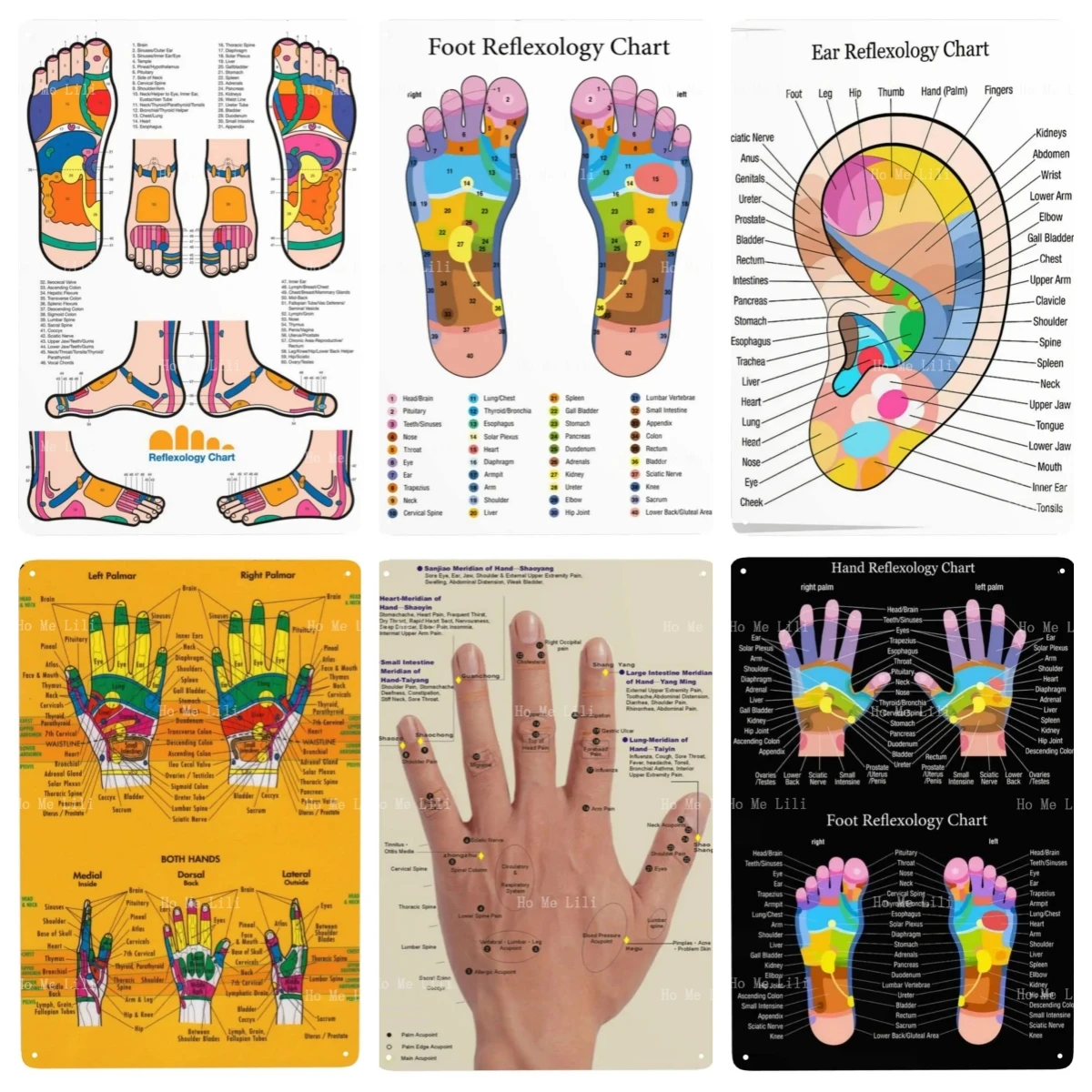 Hand Foot Reflexology Chart Vintage Retro Paintings Art Decoration Decormetal Sign Poster Plate Decor Plaque