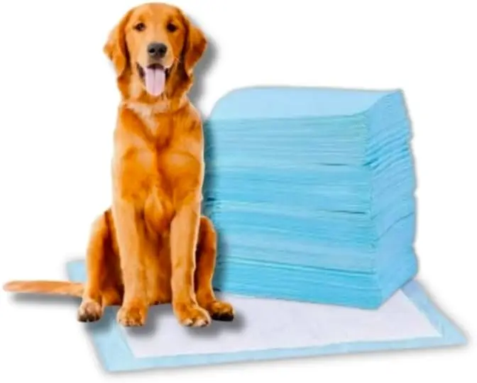 

Leakproof Disposable Training Pads for Dogs with Odor Control 6 Layer Moisture Lock Large 20 Count