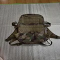 TAZ16