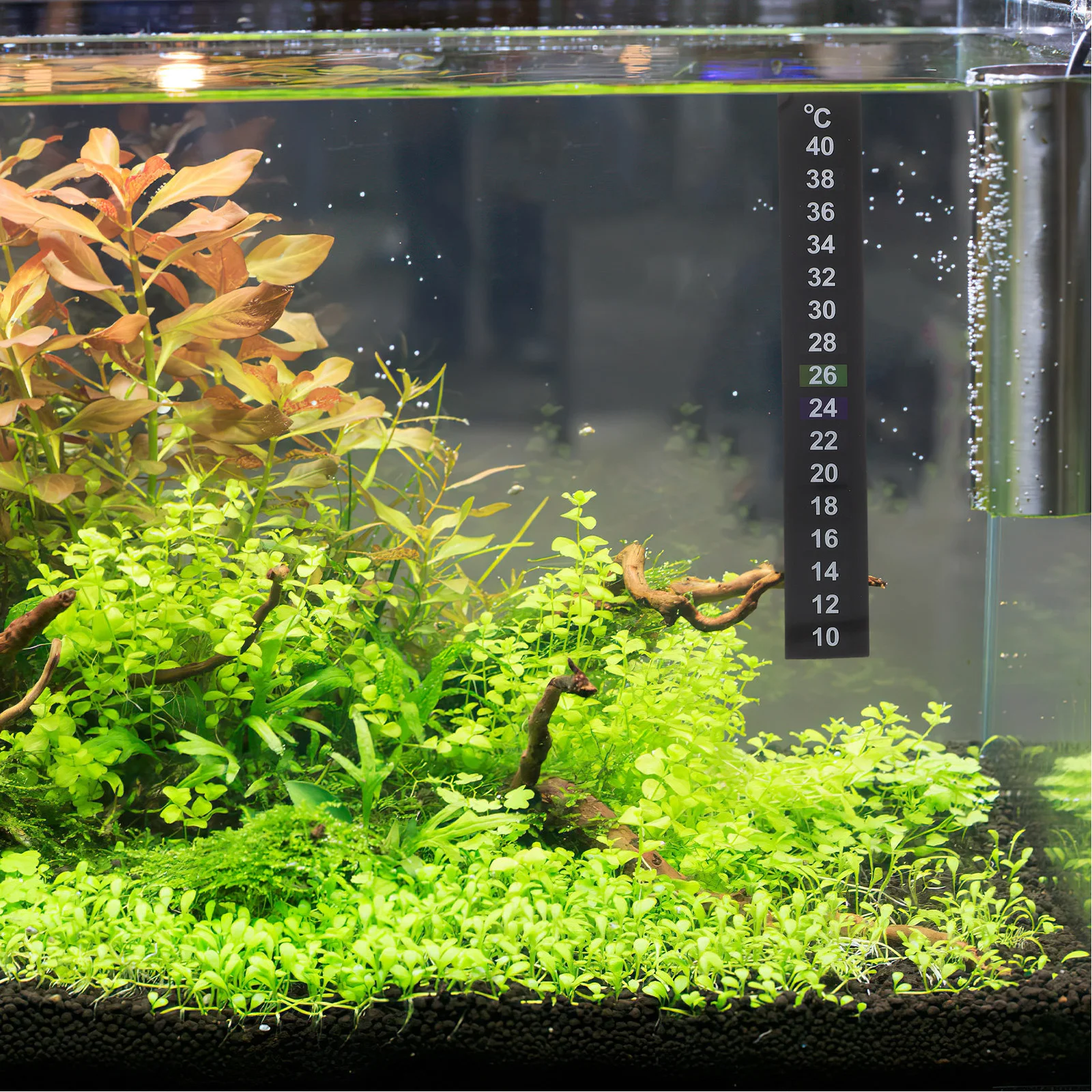 

10Pcs Aquarium Temperature Sticker Accurate Range 10-40 Celsius Thermometer for Fish Tanks