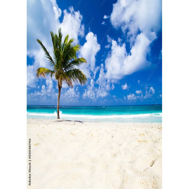 Tropical Meer Strand Palms Baum Fotografie Hintergrund Natural Scenic Foto Kulissen Photo Foto Studio 211227-HHB 01