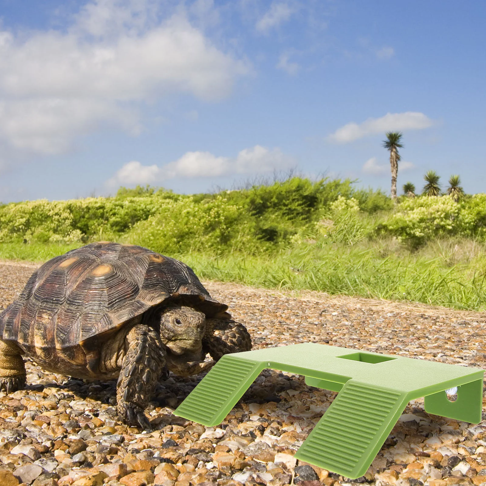 Small Turtle Terrace Outdoor Statue Climbing Pier Plastic Sun Basking Platform Tank