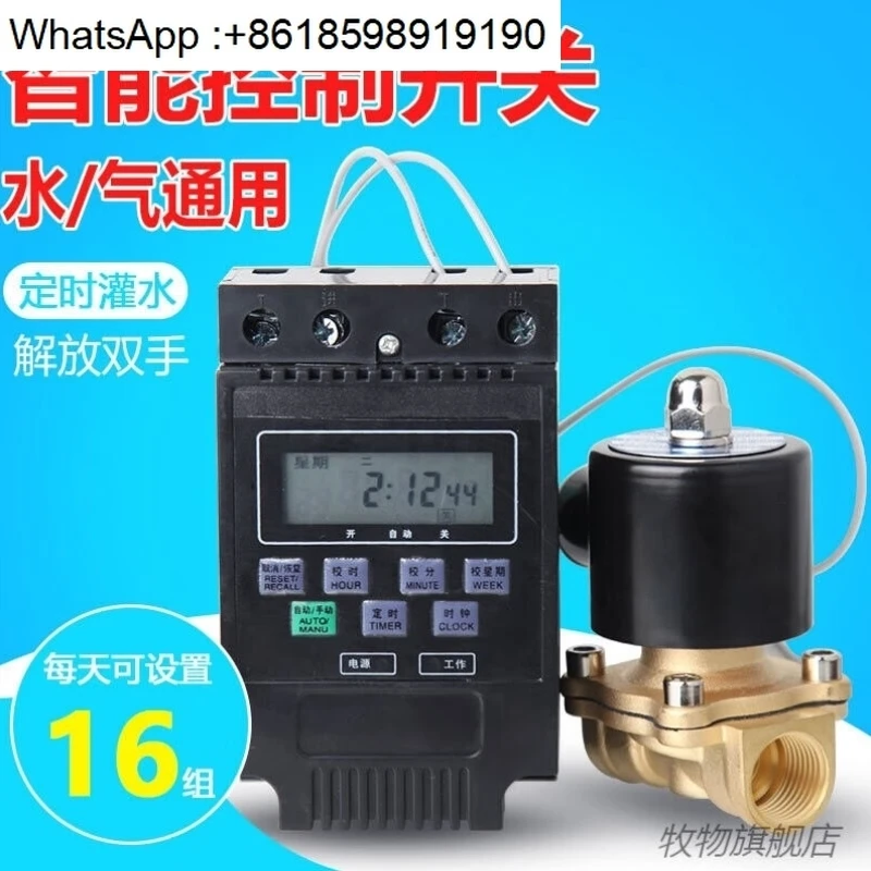 

Solenoid valve time-controlled switch water pipe self-flower discharge