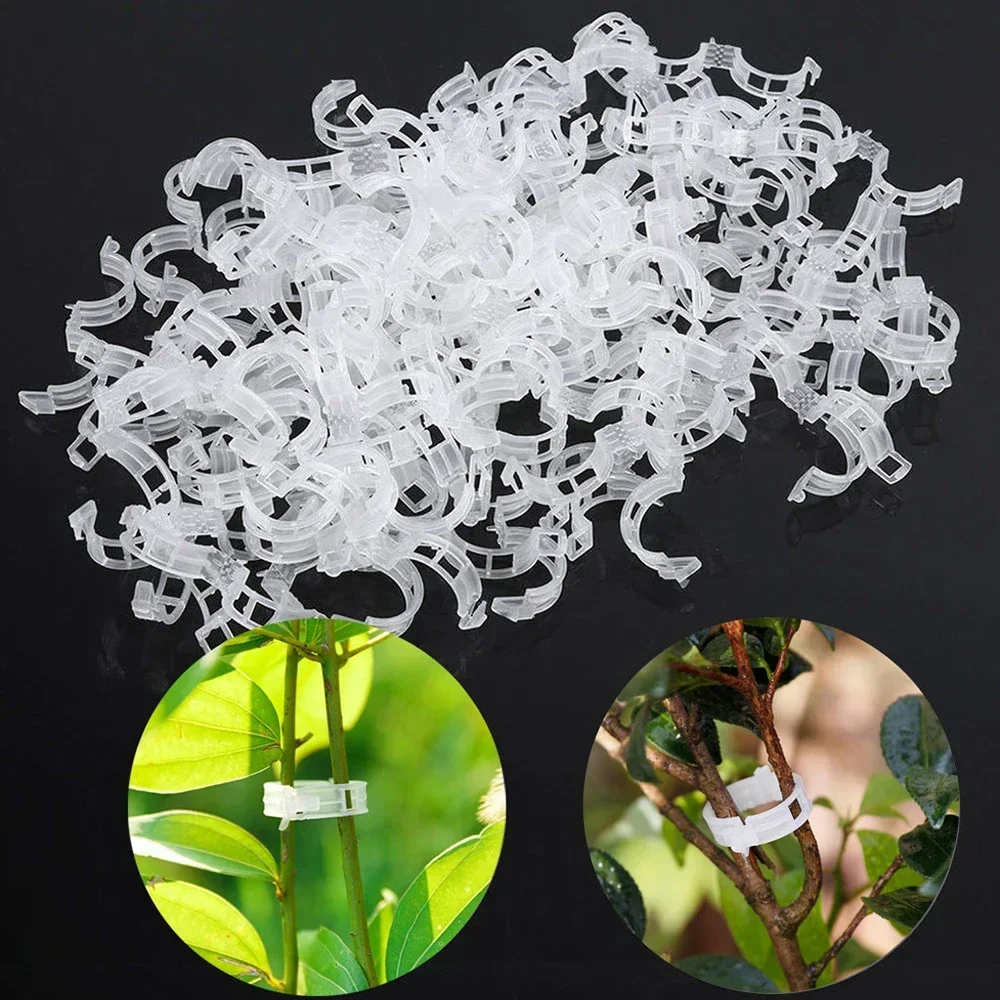 50/100Pcs Reusable Plastic Plant Grafting Clamps Fixing Brackets Garden Seedling Support Tools