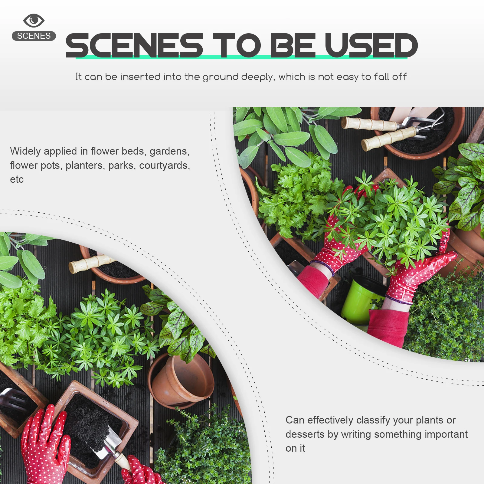 

10Pcs Garden Vegetable Flower Markers Reusable Outdoor Plant Name Tags Lightweight Portable for Plant Identification Decor