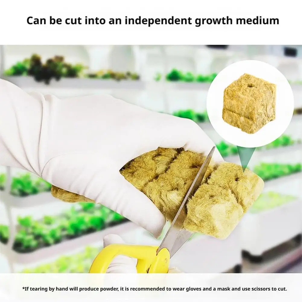 سطح مكعبات البذور الخضراء للإنبات الأمثل لإنبات البذور ونمو النباتات بدون تربة 2026 جديد #1