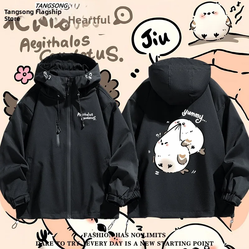 Casual Q Version No… - image