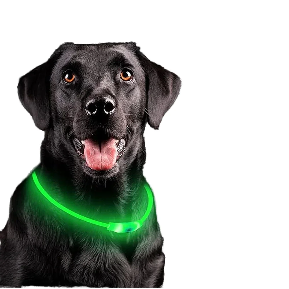 

USB LED Dog Collar For Cats Luminous 3 Modes Light Glowing Luxury Plastic Accessory With Loss Prevention
