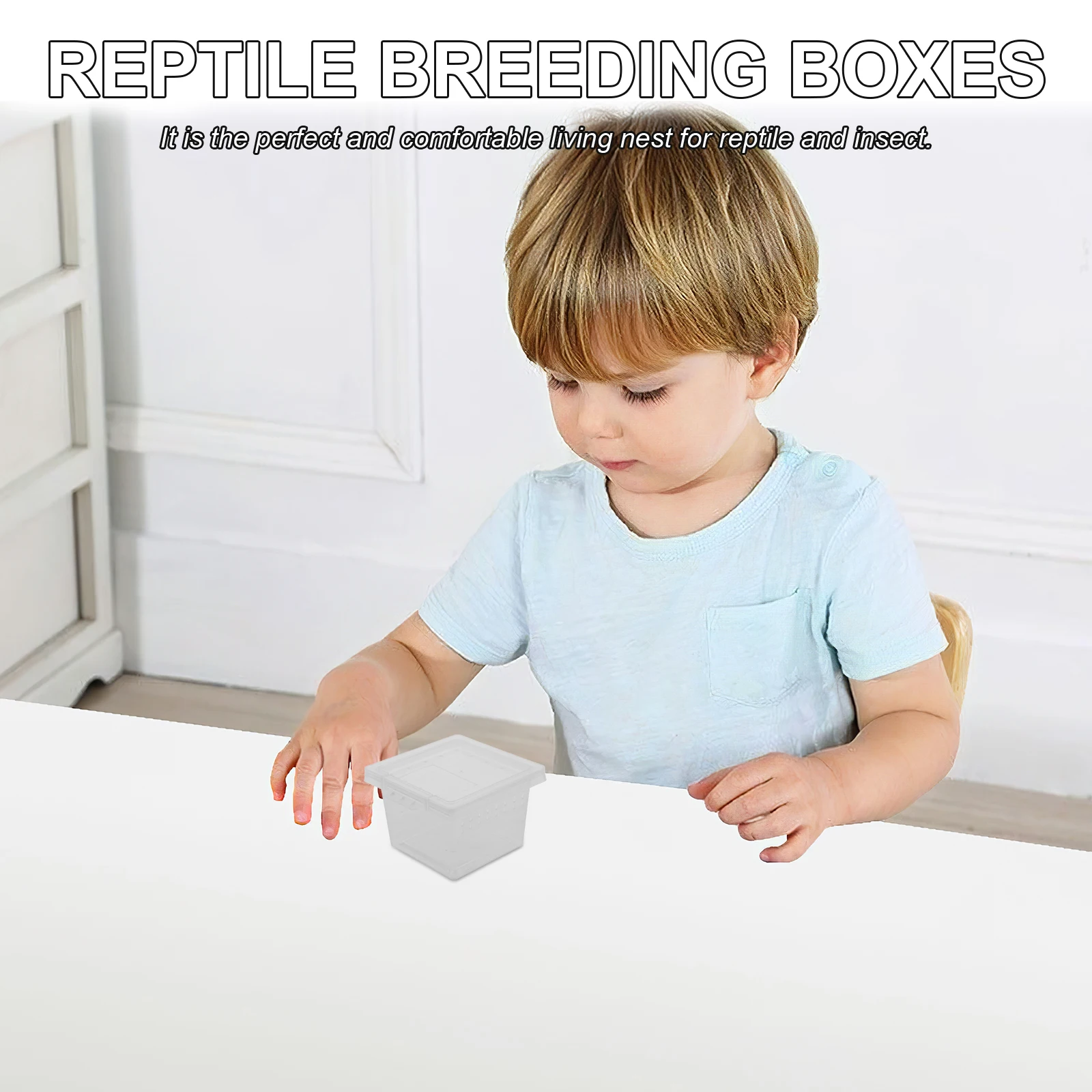 

100 Pcs Insect Feeding Boxes Reptile Breeding Cage Transparent Enclosure Lightweight Container for Spider Sling