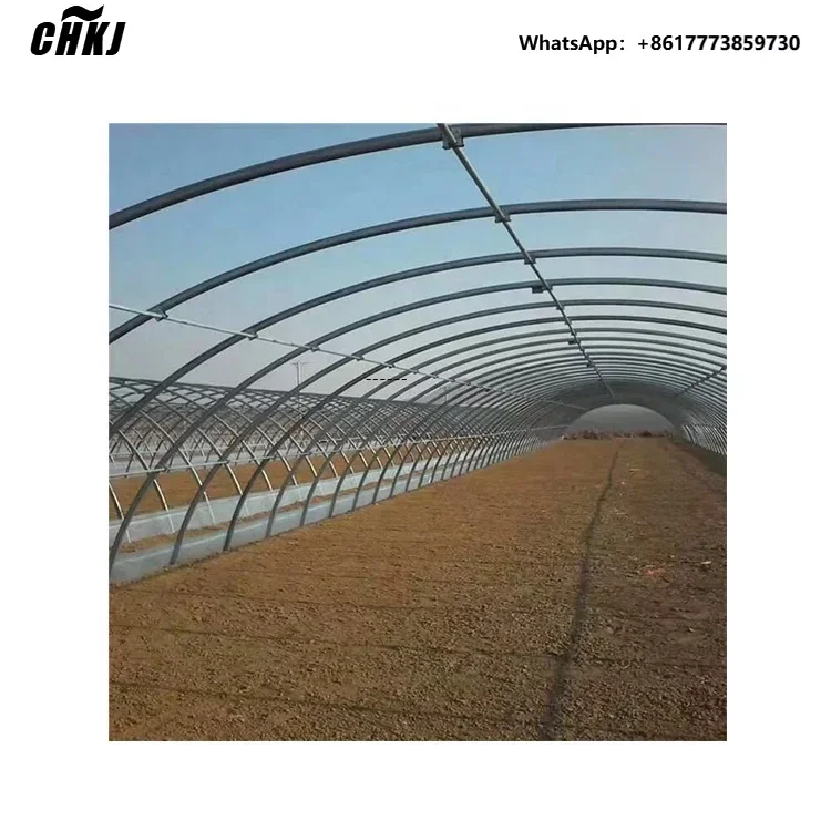 Chkj Farming Greenh… - image
