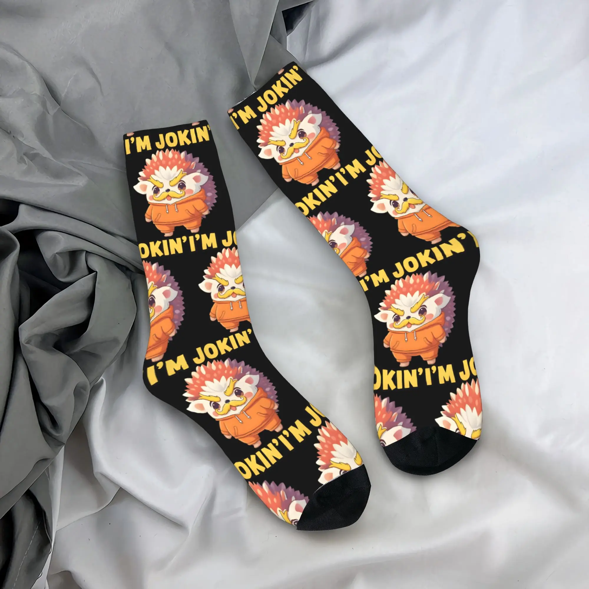 

Aurora the Hedgehog Ashby Parody Socks Leisure Stockings Women Men Soft Breathable Outdoor Sports Socks Autumn