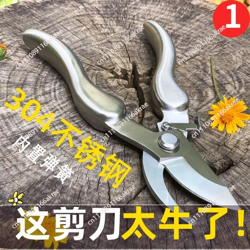 for Scissors, pruning shears, stainless steel gardening flowers, plants, grapes, fruit trees, fruit-picking plants