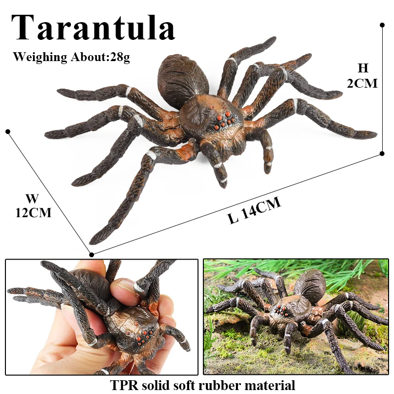 Oenux Wild Insekt Tier Modell Raupe Eidechse Spinne Gekko Chamäleon Action-figuren Weiche TPR Halloween Trick Spielzeug Kind Geschenk – Detail 9