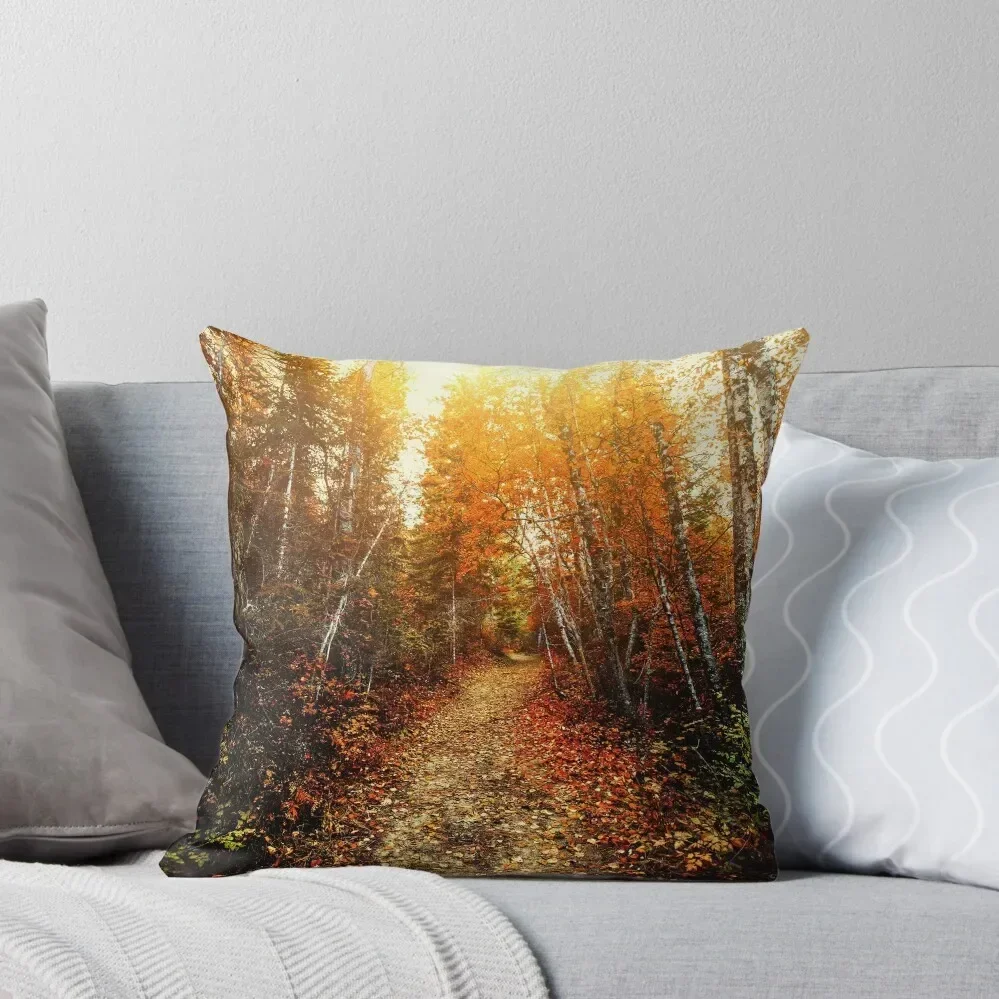 Red Forest, Washington in November Throw Pillow autumn pillowcase autumn decoration pillow