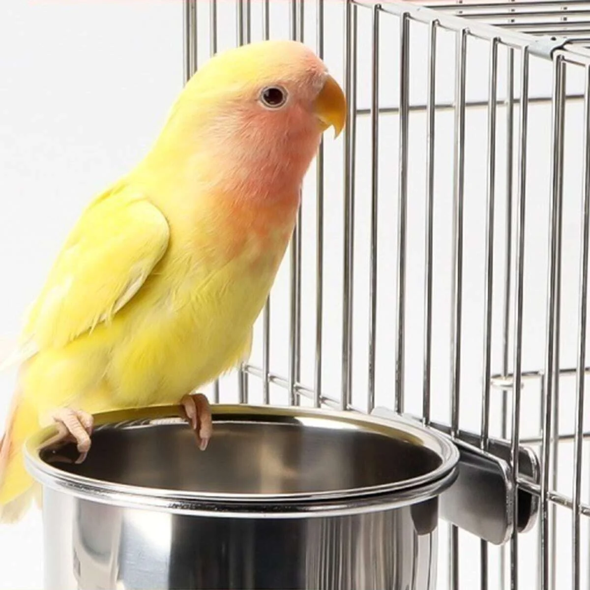 1pc-Edelstahl Vogel häuschen, Papageien futters chale, Fütterung sbox für Kleintier Haustier Vogelkäfig Zubehör