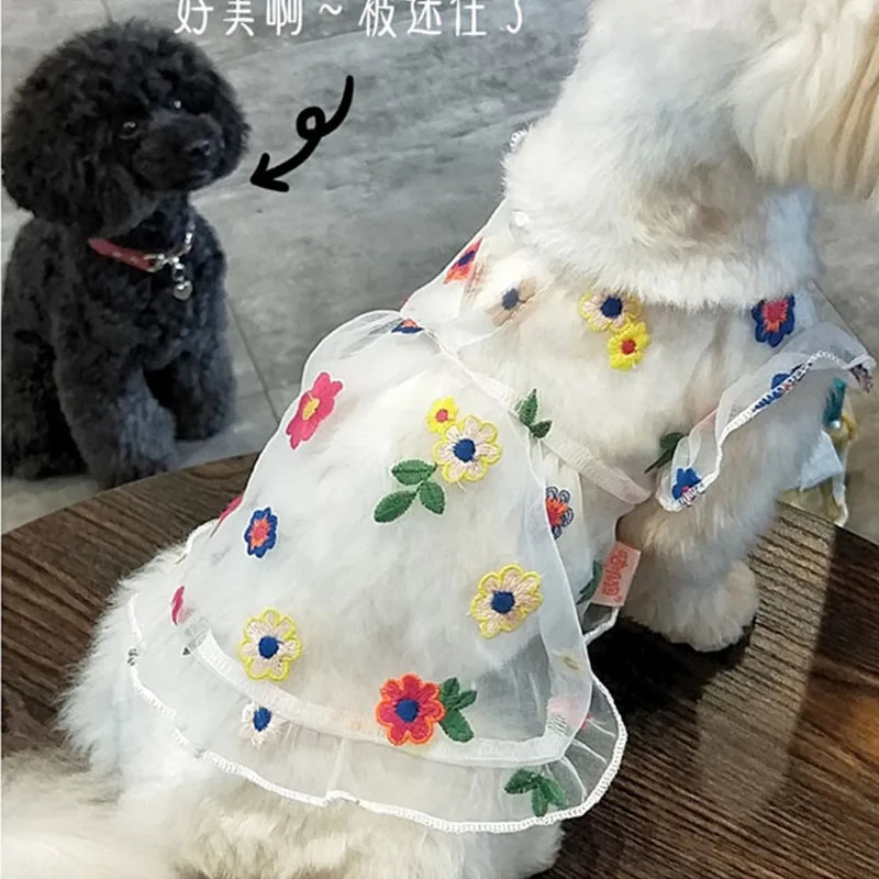 Saia floral bordada, roupas transparentes para cães, vestido de renda transparente, princesa, meninas, roupas para animais de estimação, filhote de cachorro, gatinho, shih tzu, verão