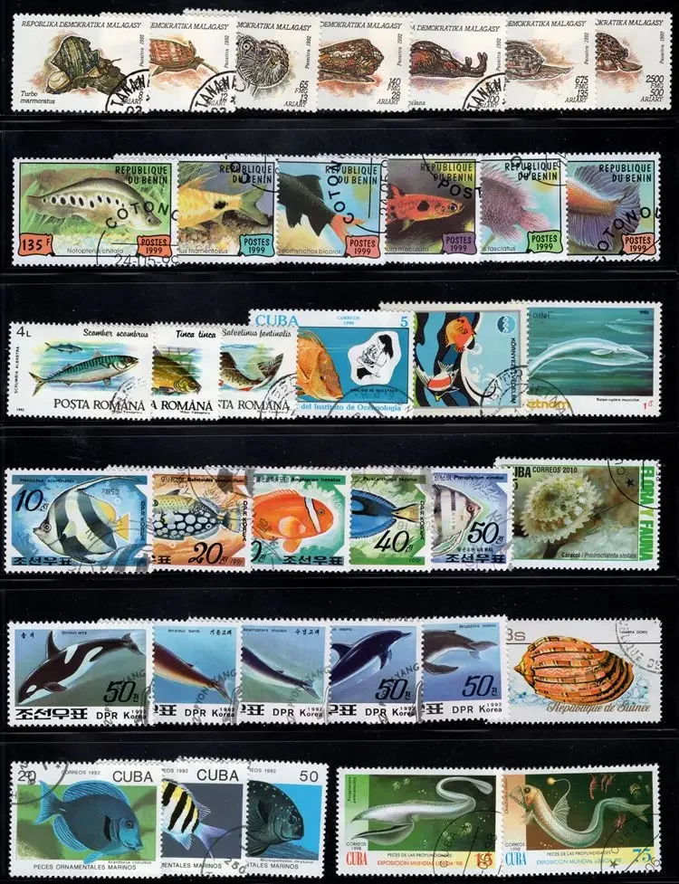 250 PCS/Lot,Topic Fish,Sea Life,Different Fish Stamps From Word,Animal Stamps,Used with Post Mark,High Quaility,Stamp Collection