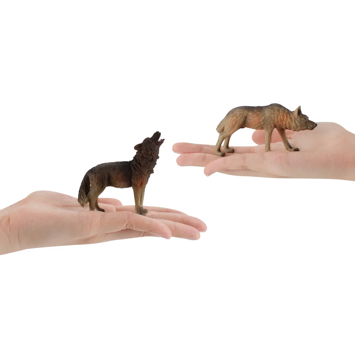 Children's Early Learning Simulation Wild Animal Wolf Models Toy Set Siberian King White Wolf Cub & Coyote Educational Decor