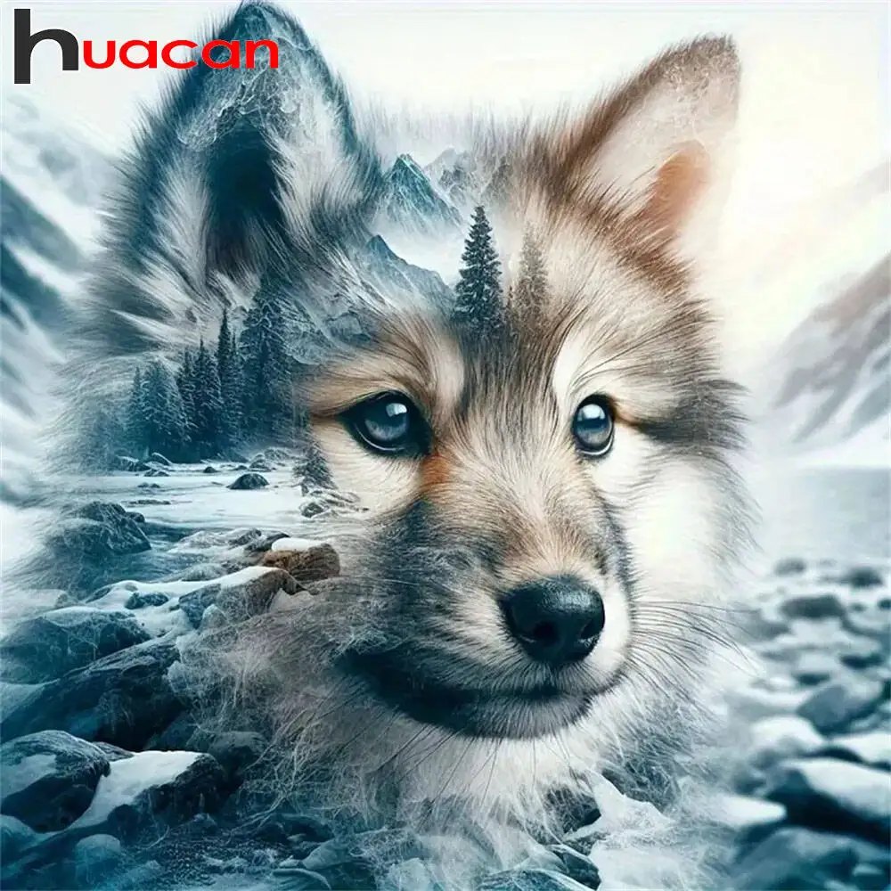 Huacan 2025, neue Kollektion, Diamant-Gemälde, Delphin, Himmel, Diamant-Stickerei, Meer, Sonnenuntergang, Mosaik, Kunst, Dekoration, Gemälde